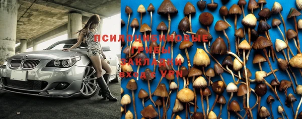 марки nbome Михайлов