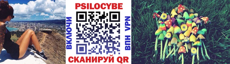 ссылка на мегу зеркало Чулым Галлюциногенные грибы Cubensis